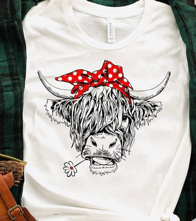 Highland Cow Cotton T Shirt